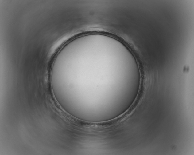 X0000113361167200909221152