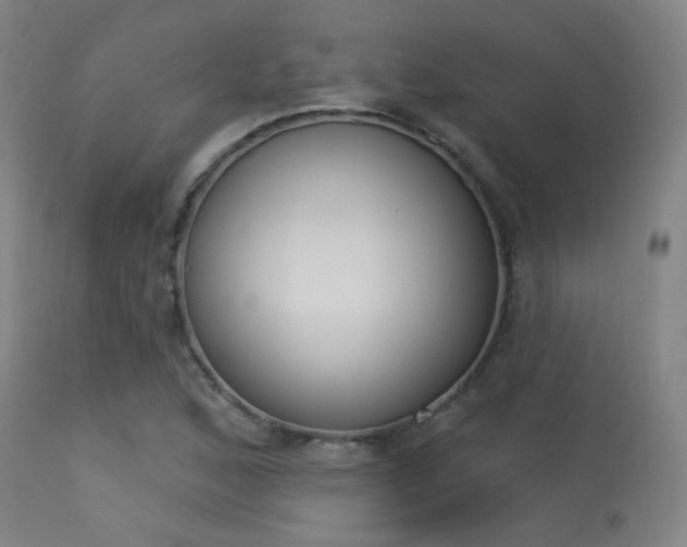 X0000113361168200909221152