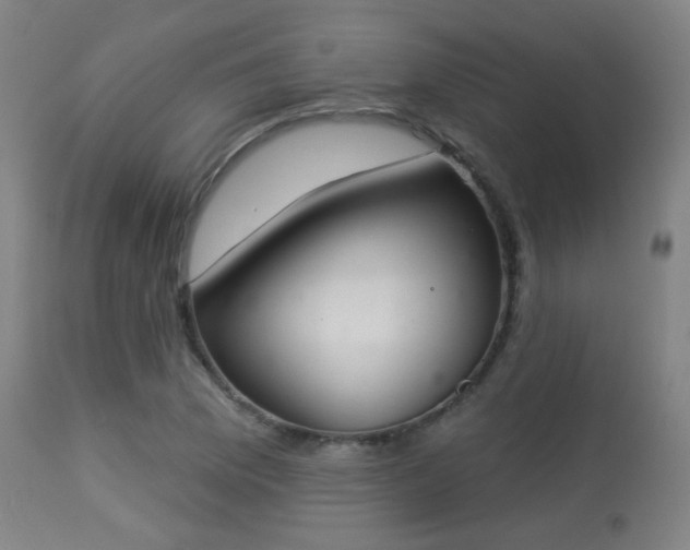 X0000113361169200909221152
