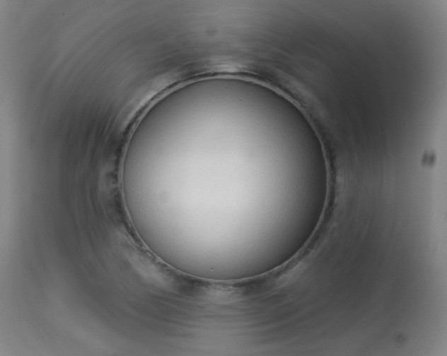 X0000113361170200909221152