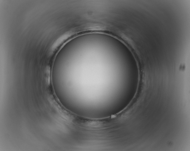 X0000113361171200909221152