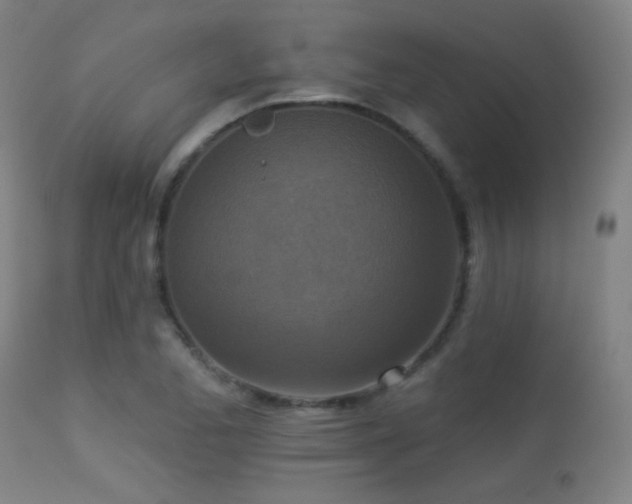 X0000113361173200909221152