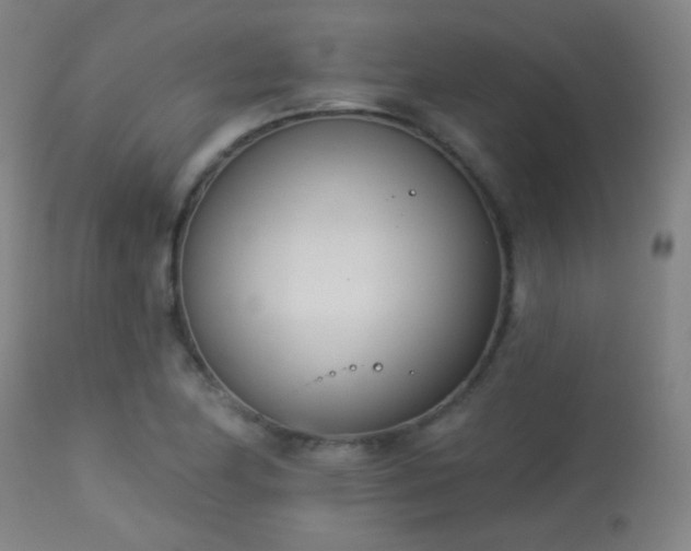 X0000113361174200909221152