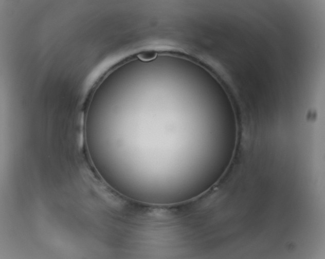 X0000113361175200909221152