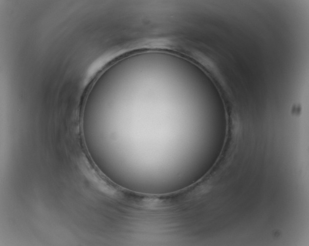 X0000113361176200909221152