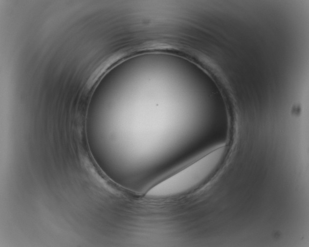 X0000113361177200909221152