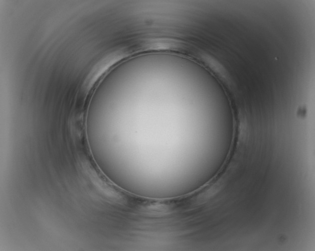 X0000113361178200909221152