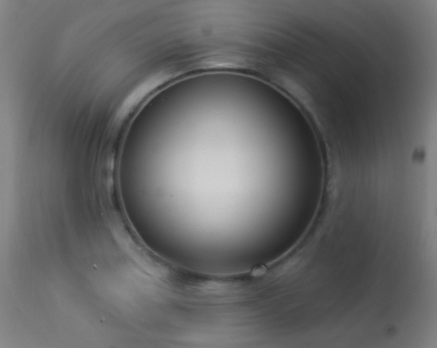 X0000113361179200909221152