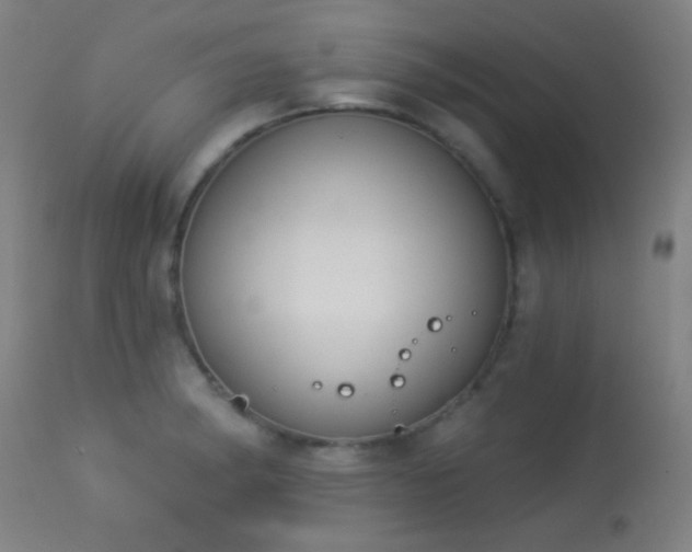 X0000113361182200909221152
