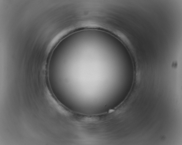 X0000113361183200909221152