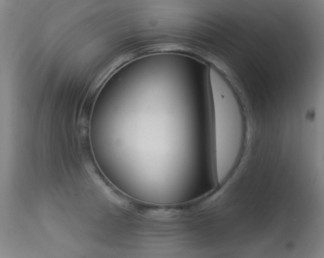 X0000113361185200909221151