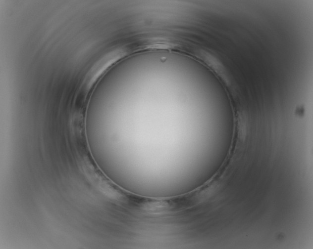 X0000113361186200909221151