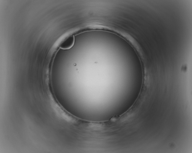 X0000113361191200909221151