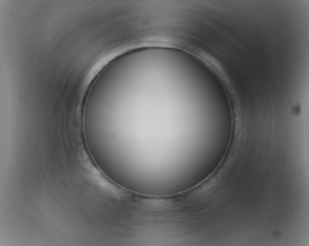 X0000113361192200909221151