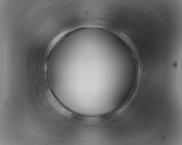 X0000113361196200909221151