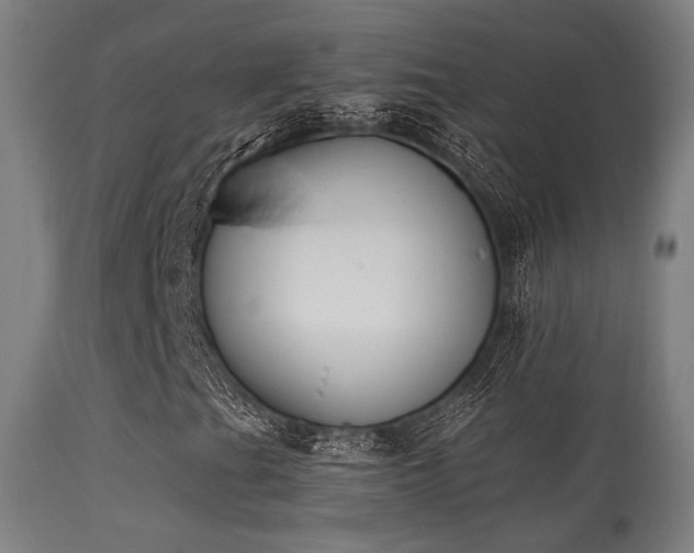 X0000113361201200909221151