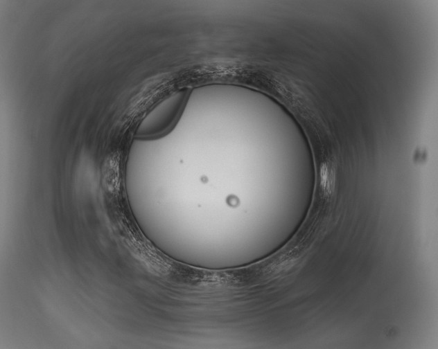 X0000113361203200909221151