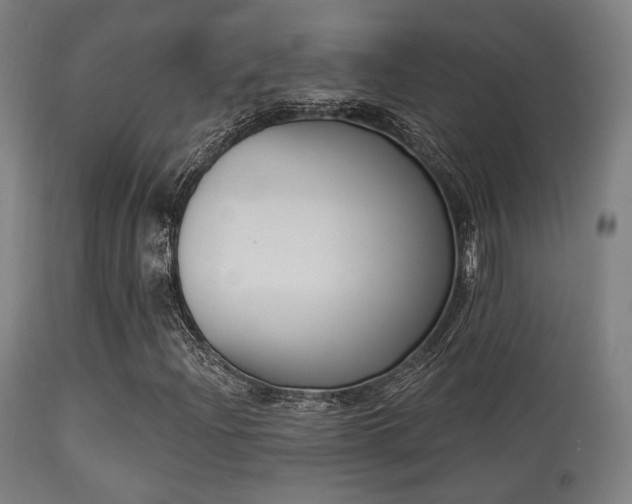X0000113361204200909221151