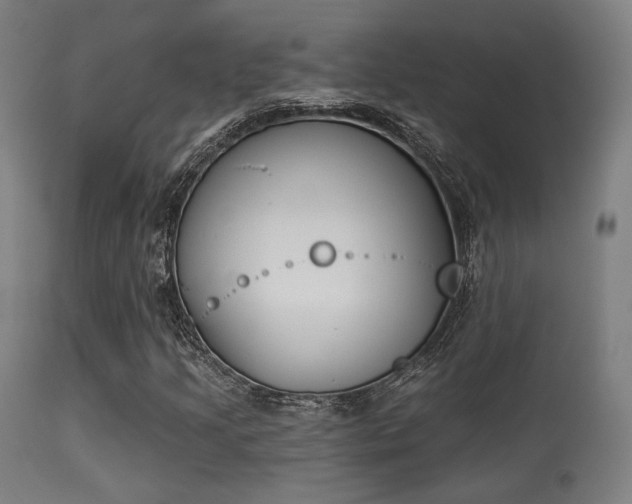 X0000113361205200909221151