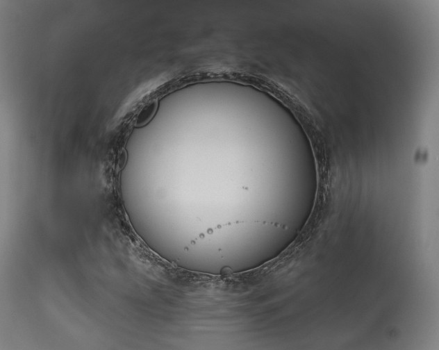 X0000113361207200909221151