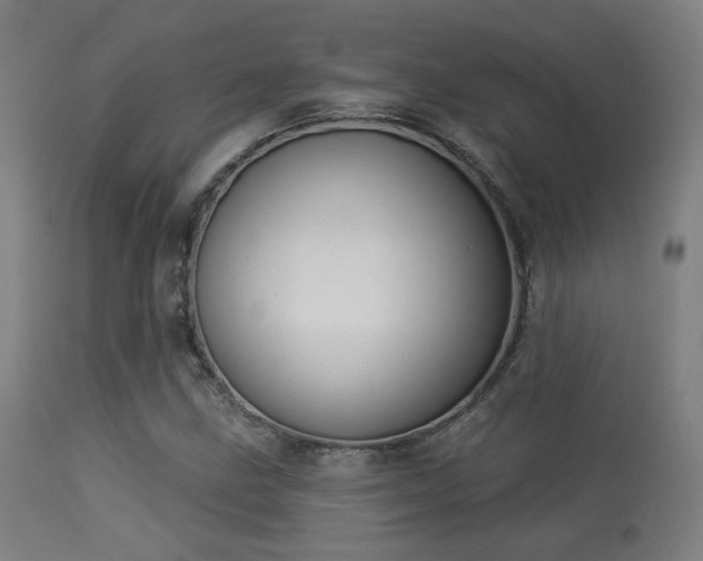 X0000113361211200909221151