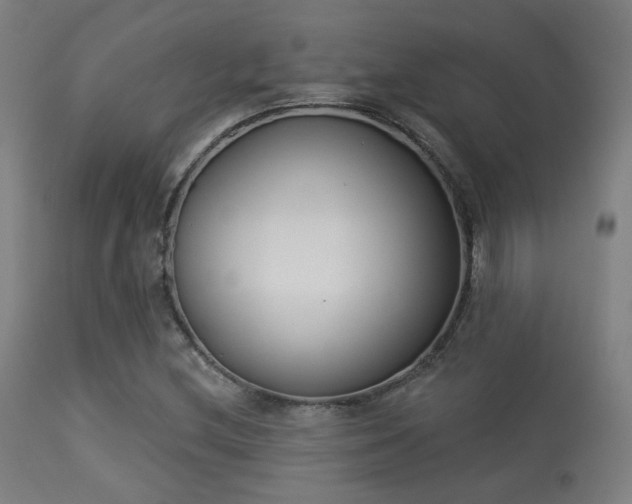 X0000113361212200909221151