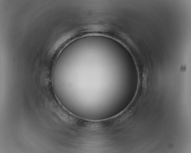 X0000113361213200909221151