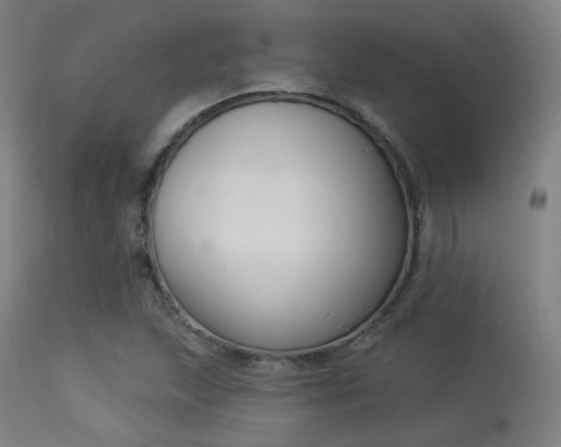 X0000113361215200909221151