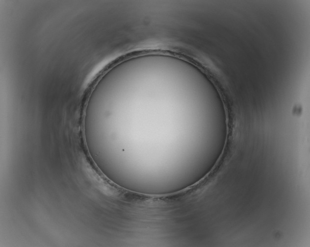 X0000113361216200909221151