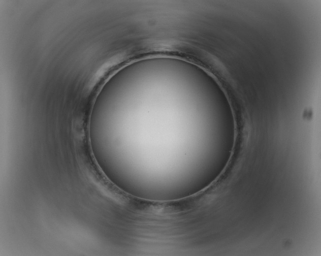 X0000113361218200909221151