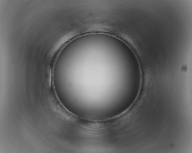 X0000113361219200909221151