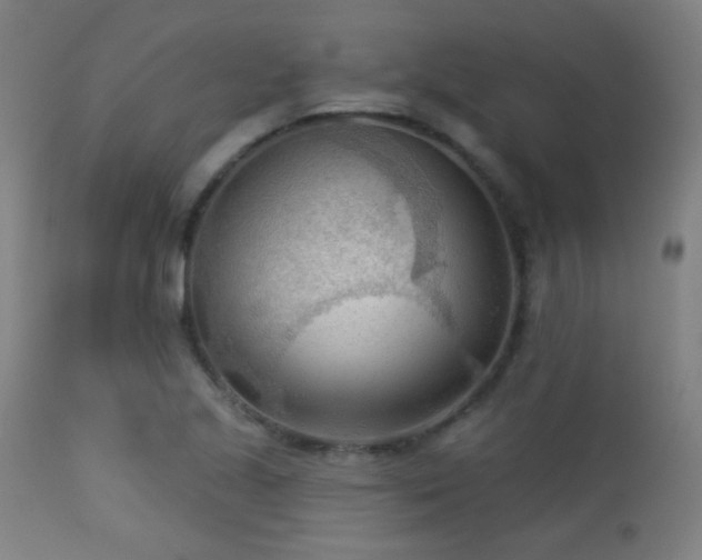 X0000113361221200909221151