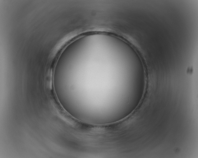 X0000113361223200909221151