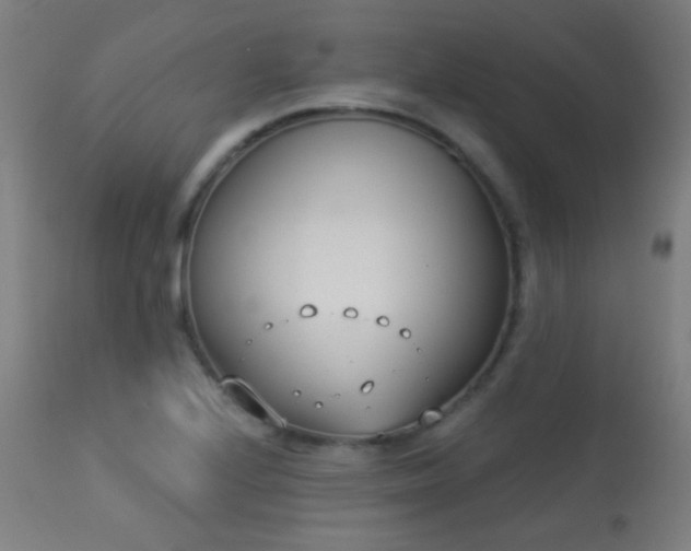 X0000113361224200909221151