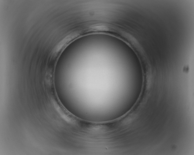 X0000113361225200909221151