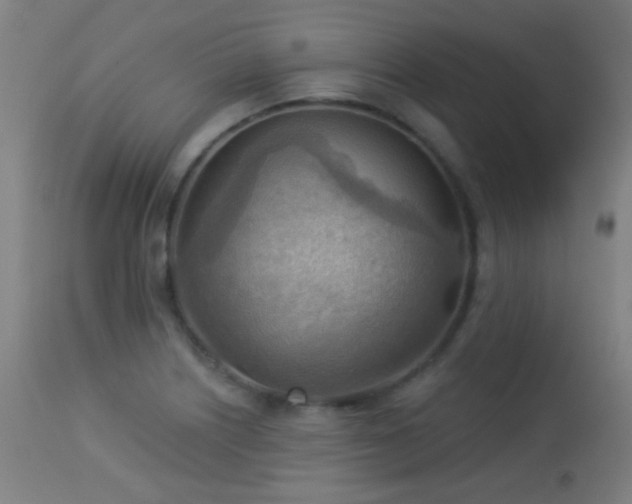 X0000113361226200909221151