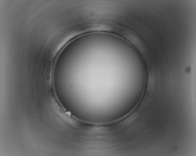 X0000113361228200909221151