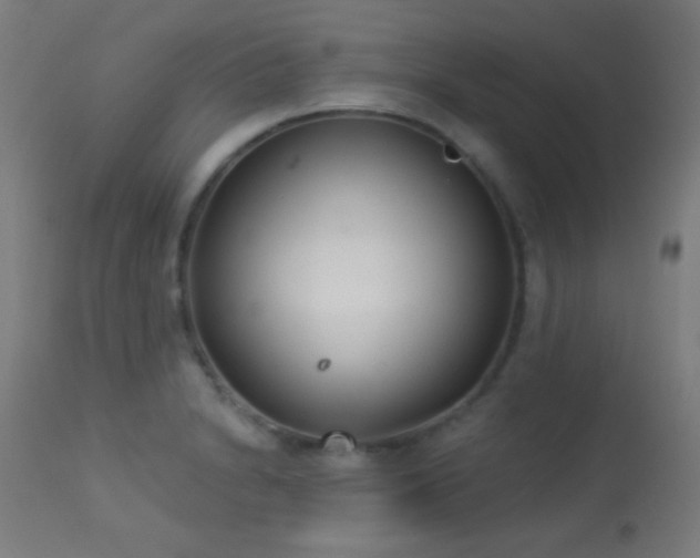 X0000113361230200909221151