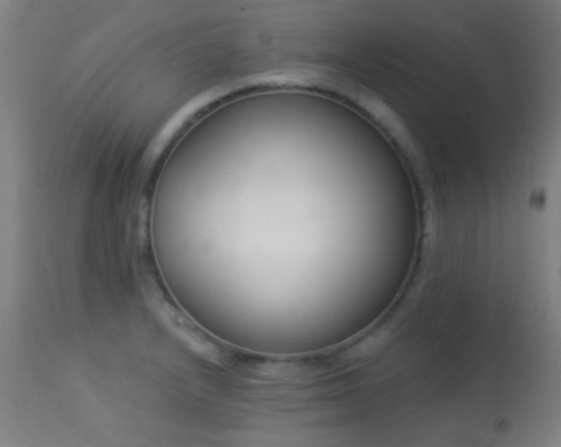 X0000113361232200909221151