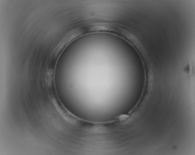 X0000113361233200909221151