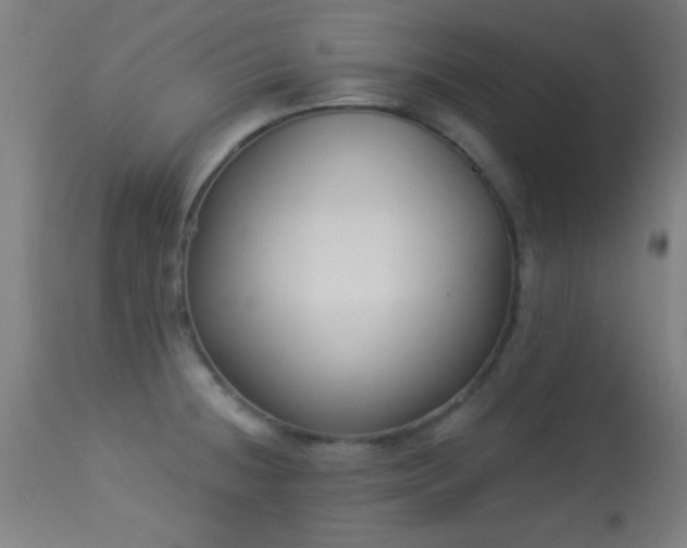 X0000113361236200909221151