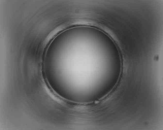 X0000113361237200909221151
