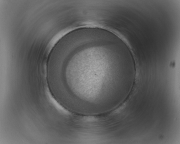 X0000113361239200909221151