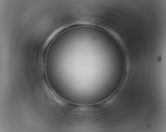 X0000113361240200909221151