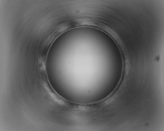 X0000113361241200909221151