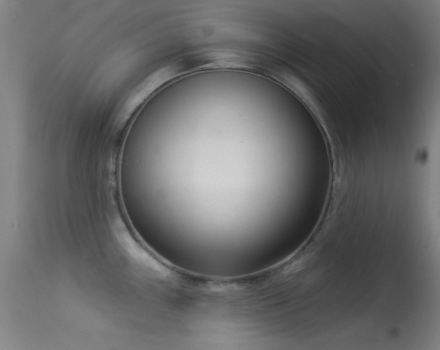 X0000113361243200909221151