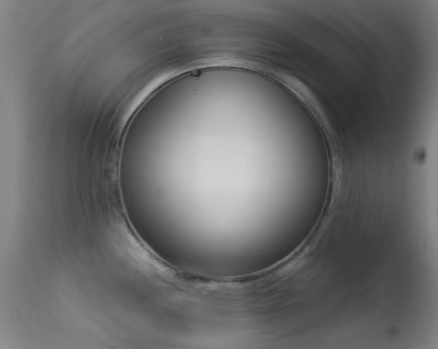 X0000113361244200909221151
