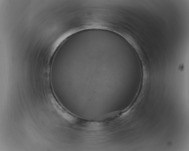 X0000113361246200909221151