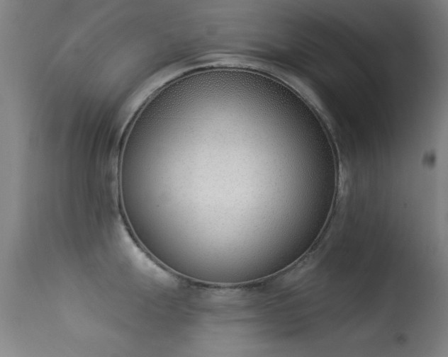 X0000113361247200909221151