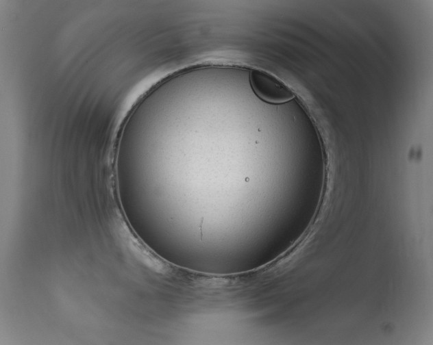 X0000113361248200909221151